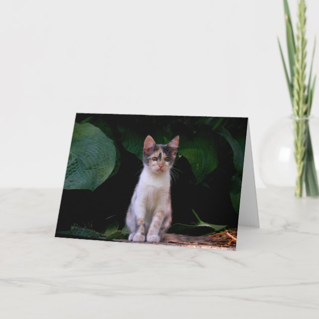 Cartão Mundo grande (Frente)