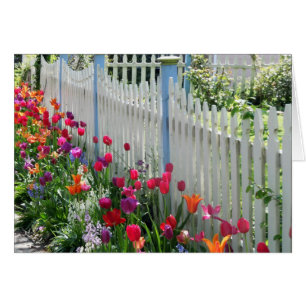Cartão muro de piquete branco de jardim