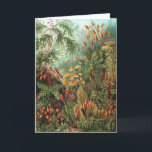 Cartão Muscinae Antigos, Plantas de Musgo por Ernst Haeck<br><div class="desc">Ilustração antiga da natureza com design botânico por Ernst Haeckel. Uma variedade de musgos coloridos, gramíneas e outras plantas tropicais exóticas em uma selva tropical.</div>