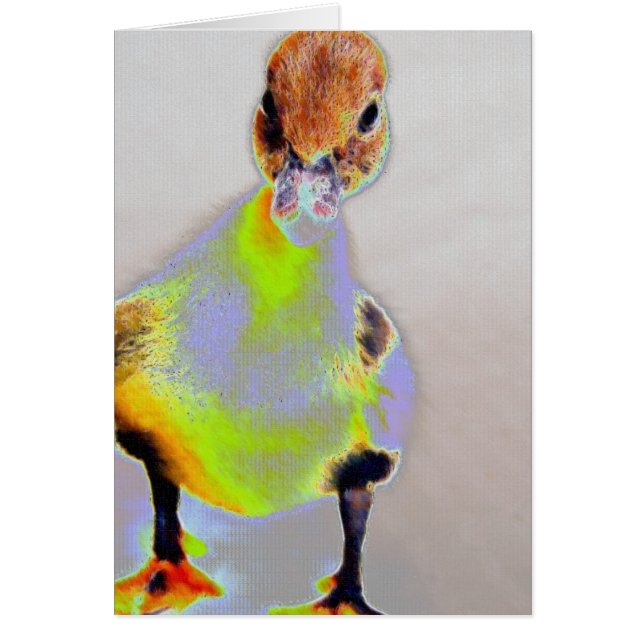 Cartão Muscovy brilhante (Frente)