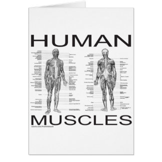 Cartão Músculos humanos e anatomia