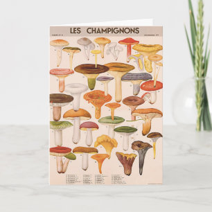 Cartão Mushroom Greeting Card