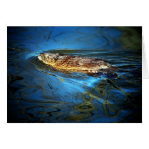 Cartão Muskrat