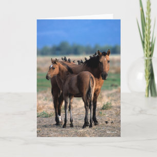 Cartão Mustang Mare e Foal em Pássaros