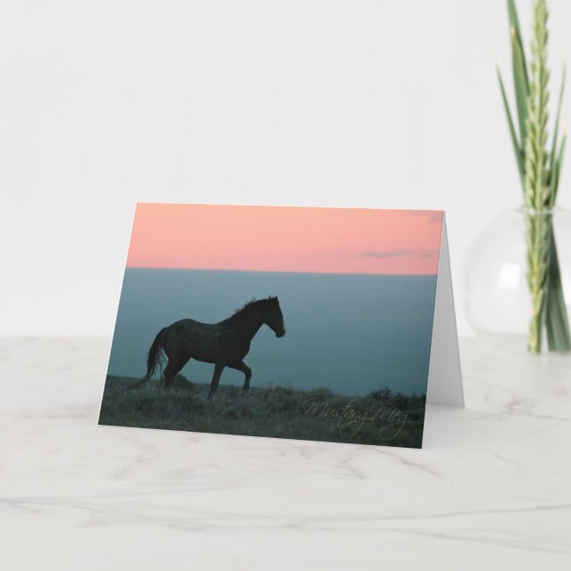 Cartão Mustang Stallion no Sunset Greeting Card (Frente)