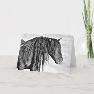 Cartão Mustangs selvagens do Ocidente