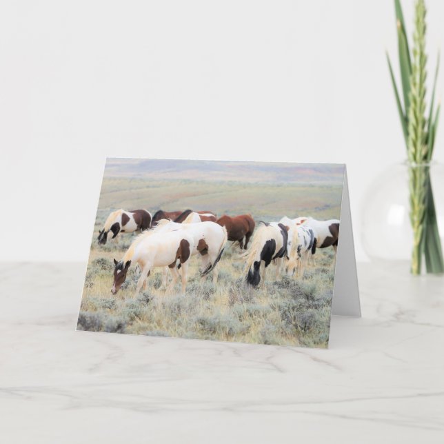 Cartão Mustangs selvagens do Ocidente (Frente)