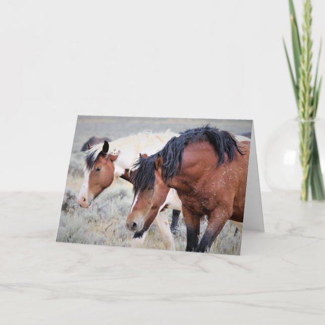 Cartão Mustangs selvagens do Ocidente (Frente)