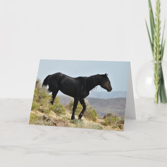 Cartão Mustangs selvagens do Ocidente (Frente)