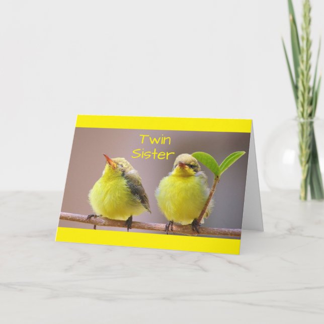 CARTÃO MY TWIN, MY SISTER, MY BEST FRIEND-BIRTHDAY CARD (Frente)