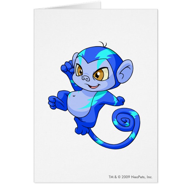 Cartão Mynci elétrico (Frente)