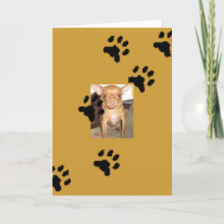 Cartão n1033590036_30149730_9405mmmm, pegadas