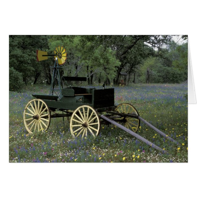 Cartão N.A., EUA, Texas, Devine, Velha carroça e (Frente Horizontal)