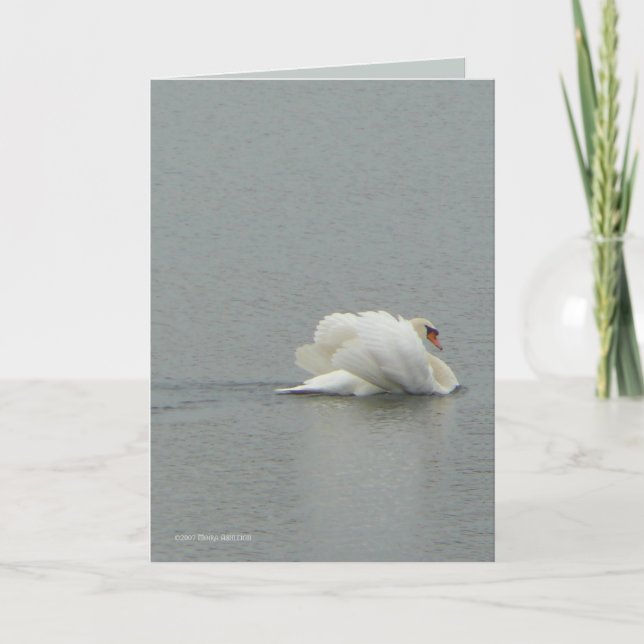 Cartão Na beleza (Frente)