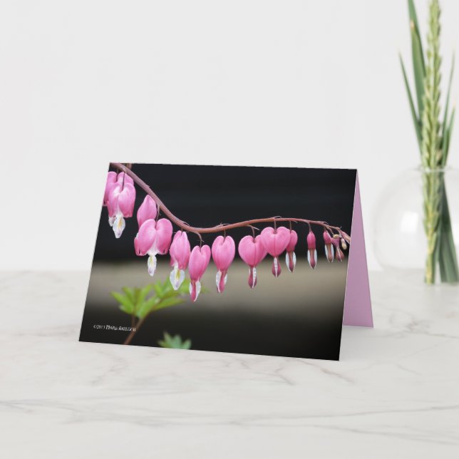 Cartão Na benevolência (Frente)