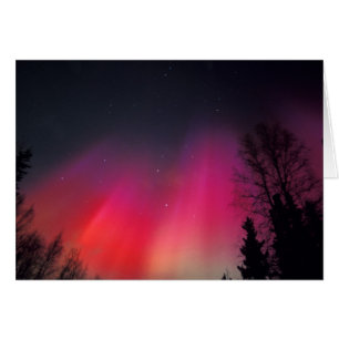 Cartão NA, EUA, Alaska, Fairbanks, Curtains de rosa e