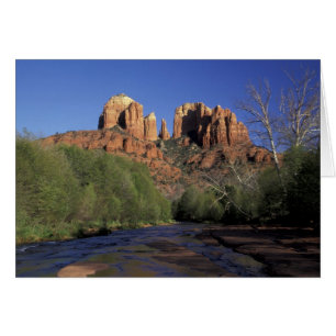 Cartão NA, EUA, Arizona, Sedona. Cathedral Rock e Oak