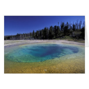 Cartão NA, EUA, Wyoming, Parque Nacional de Yellowstone.