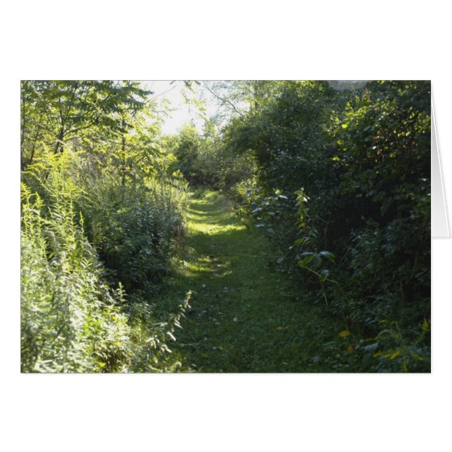 Cartão Na floresta (Frente horizontal)