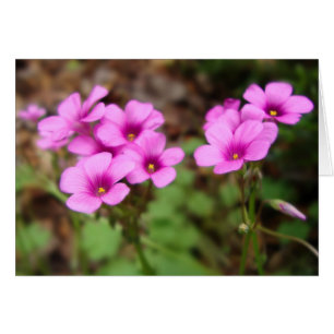 Cartão Na minha placa de porta