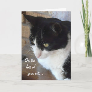 Cartão Na perda do seu gato de estimação com poema.