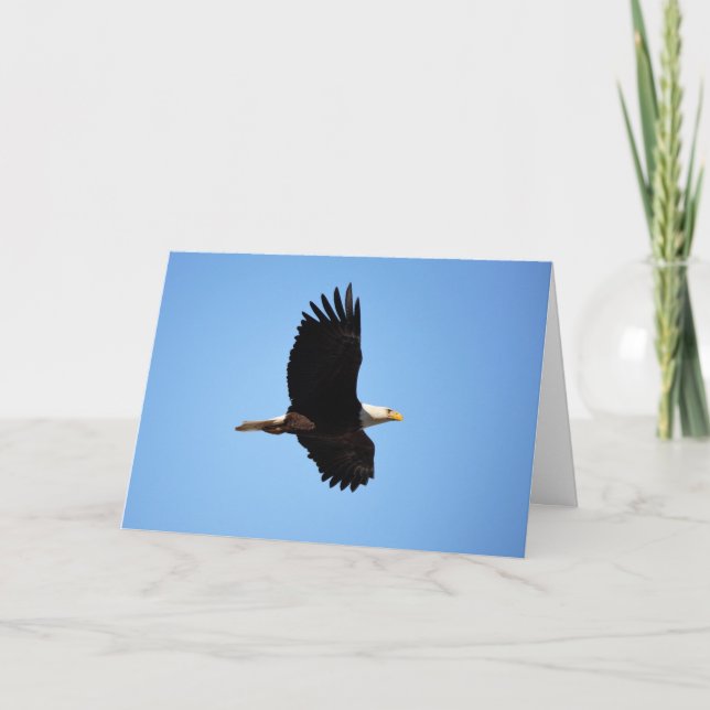 Cartão Na Placa Wings Eagle (Frente)