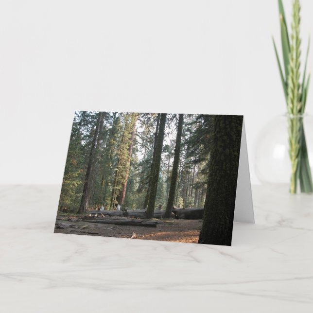 Cartão Na serra Neveda (Frente)