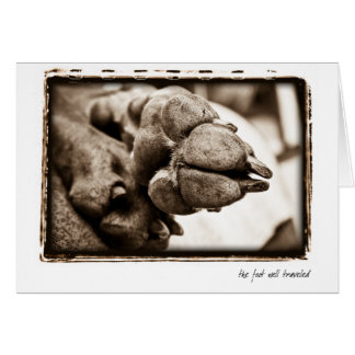 Cartão Nação de Weimaraner: "O pé bem viajado "