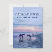 Cartão Nacional de Cavalos de Sede de Assateague I