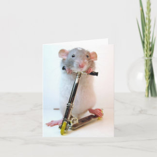 Cartão Nada É Impossível