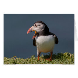 Cartão Nagging Puffin