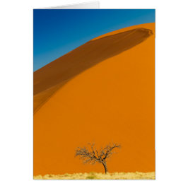 Cartão Namib Naukluft National ParkNote