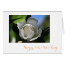 Namorados feliz de flor branca pura