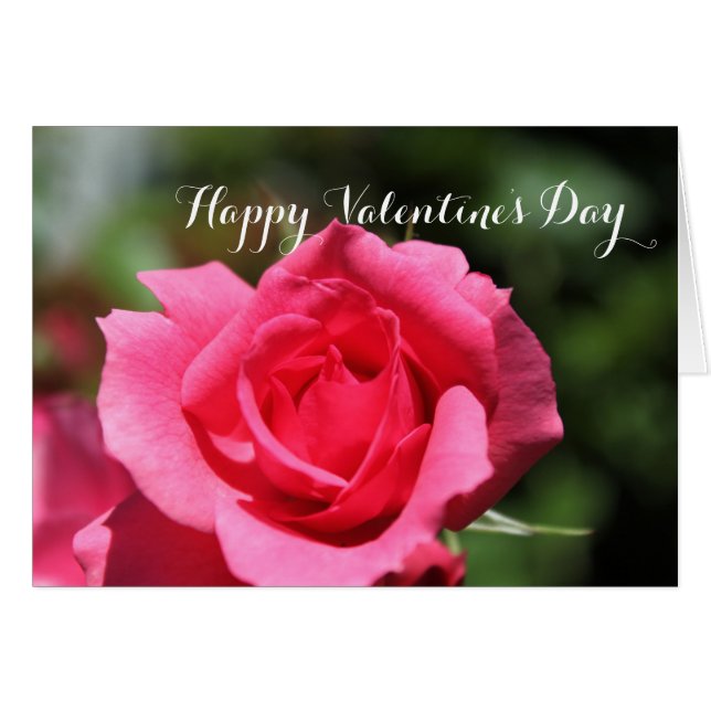 Cartão Namorados feliz de flor rosa-rosa perfeita popular (Frente Horizontal)