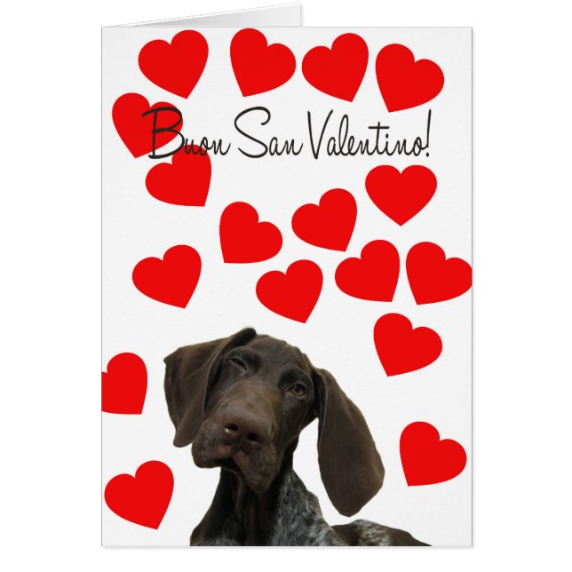 Cartão Namorados Glossy Grizzly de San Valentino Italiano (Frente)