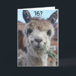 CARTÃO NÃO ACREDITO QUE ESTEJA CELEBRANDO O 16º ANIVERSÁR<br><div class="desc">HORSE NÃO PODE ACREDITAR QUE SEU AMIGO OU MEMBRO DA FAMÍLIA ESTÁ PRONTO PARA CELEBRAR SEU **16º ANIVERSÁRIO!!!! OBRIGADOS DE PARAR POR UMA DAS MINHAS OITO LOJAS! LEMBRE-SE DE QUE VOCÊ PODE MUDAR A "IDADE" E "VERSES" PARA DENTRO E PARA FORA SE QUISER EM SEGUNDOS!</div>