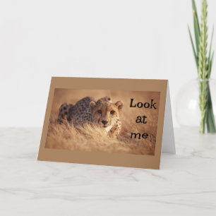 CARTÃO NÃO ACREDITO QUE "VOCÊ" TEM "16"