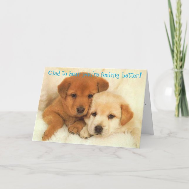 Cartão Não confunda o Icyhot (Frente)