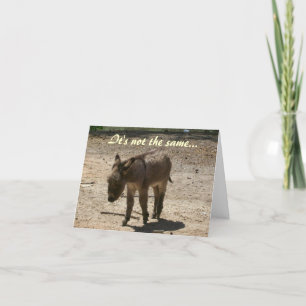 Cartão Não é a mesma placa