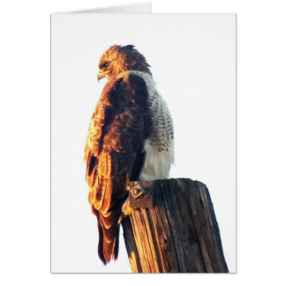 Cartão "Não é bastante a ser bom….Do" O falcão tanoeiro