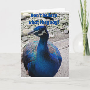 CARTÃO NÃO É UM AMIGO DA PAZ E DIZ FELIZ NASCIDO