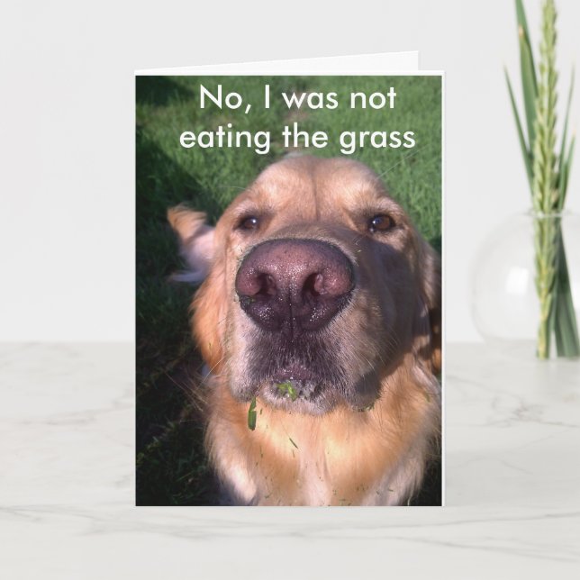 Cartão Não, eu não... (Frente)