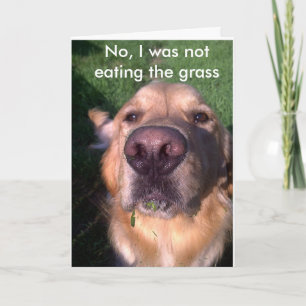 Cartão Não, eu não estava