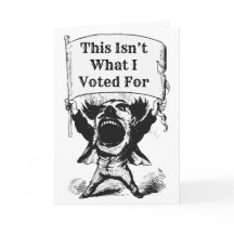 Não foi por isso que votei