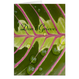 Cartão Não Grieve.