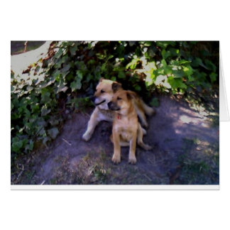 Cartão Não há lugar onde eu preferencialmente