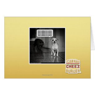 Cartão Não há nada scared de