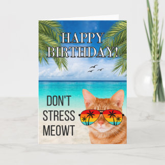 Cartão Não Me Estresse Gatinho Divertido Tabby Feliz Aniv