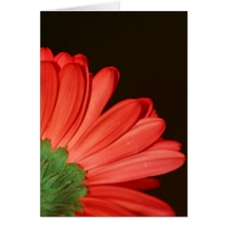 Cartão Não me vire as costas