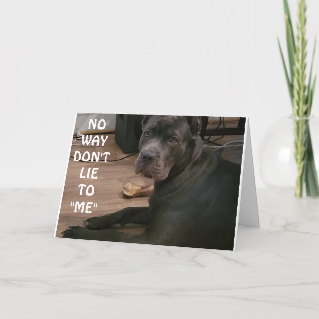 CARTÃO NÃO MENTE PARA MIM NÃO PODE TER 30 ANOS!!! CARTAO (Frente)